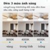 Quạt Trần Phòng Ngủ 5 Cánh ESU 3